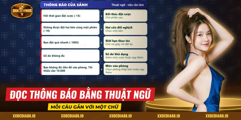 Bảng ghép thông báo của sảnh với thuật ngữ cá cược cơ bản